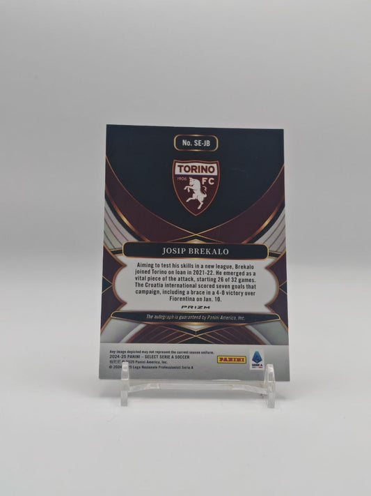 Josip Brekalo Torino Panini Select Auto, retro