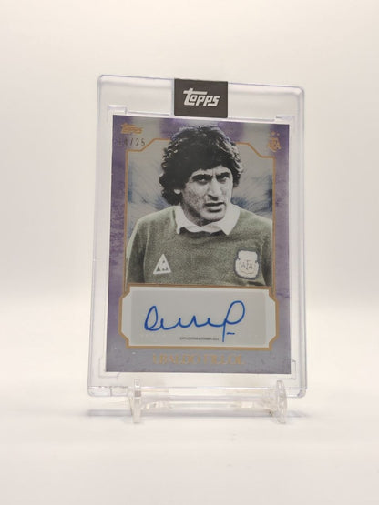 TOPPS LEYENDAS ARGENTINAS UBALDO FILLOL ARGENTINA AUTO 11/25